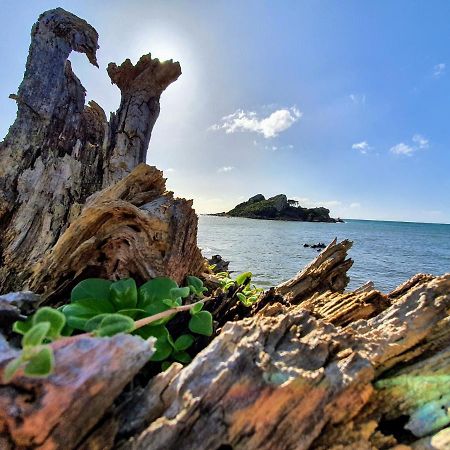 Goat Island Bungalow Ulverstone Ngoại thất bức ảnh