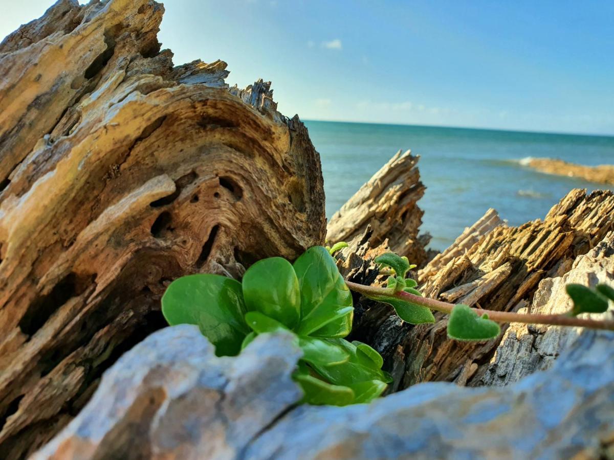 Goat Island Bungalow Ulverstone Ngoại thất bức ảnh